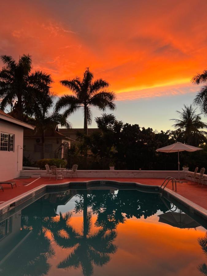 The Lodge @ Peaceful Palms Montego Bay Exterior foto